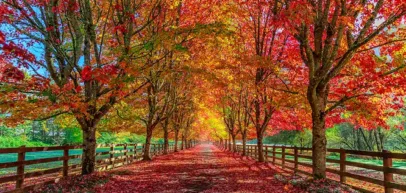 Optimal Thermostat Settings for Changing Seasons - Air Tech of Pasadena